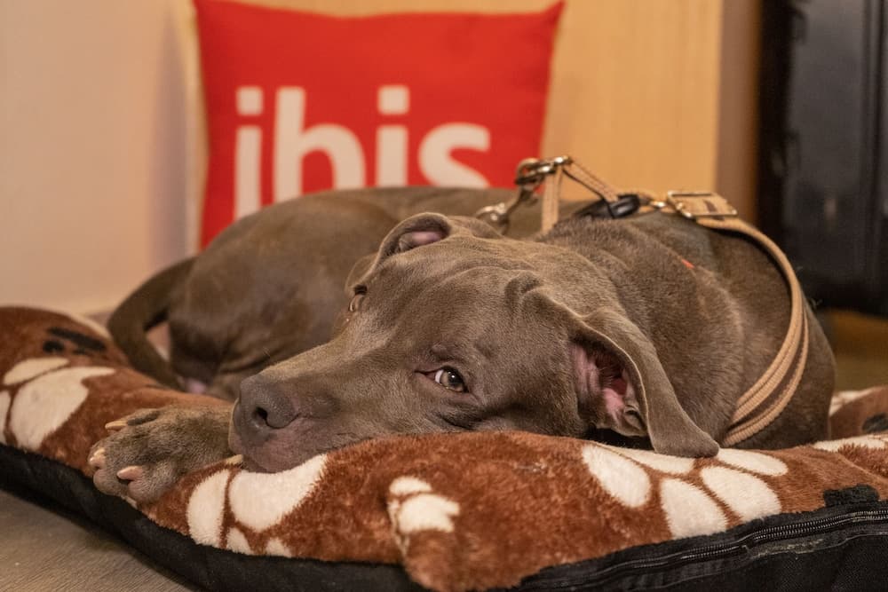ibis Cartagena Marbella