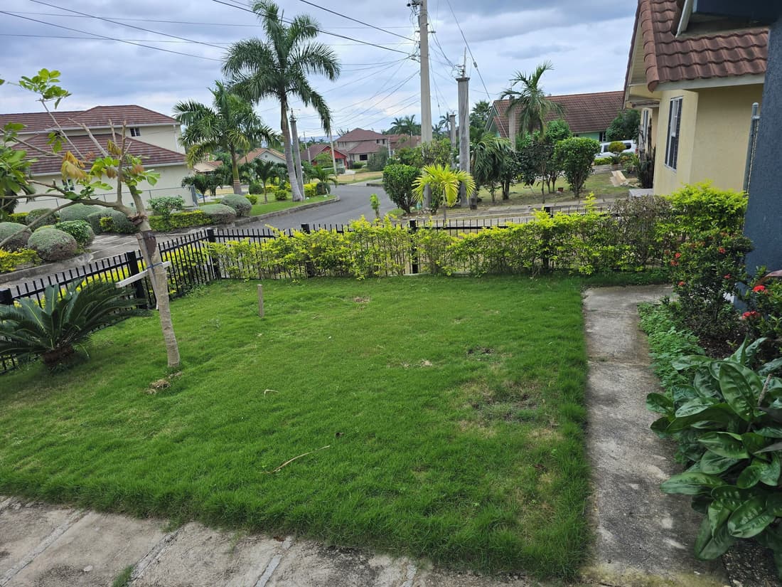 Soleil Paradise Palms