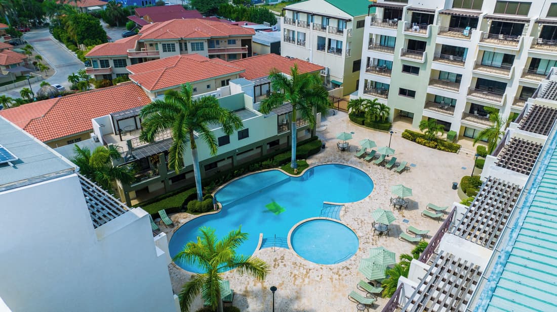 Palm Aruba #408