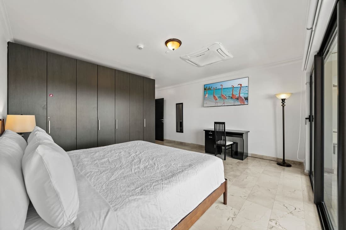 Palm Aruba #408