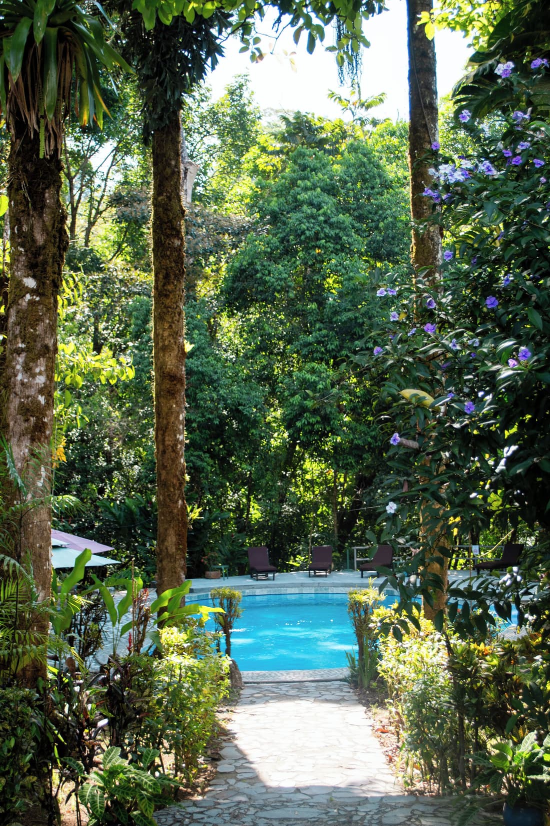 Luna Lodge