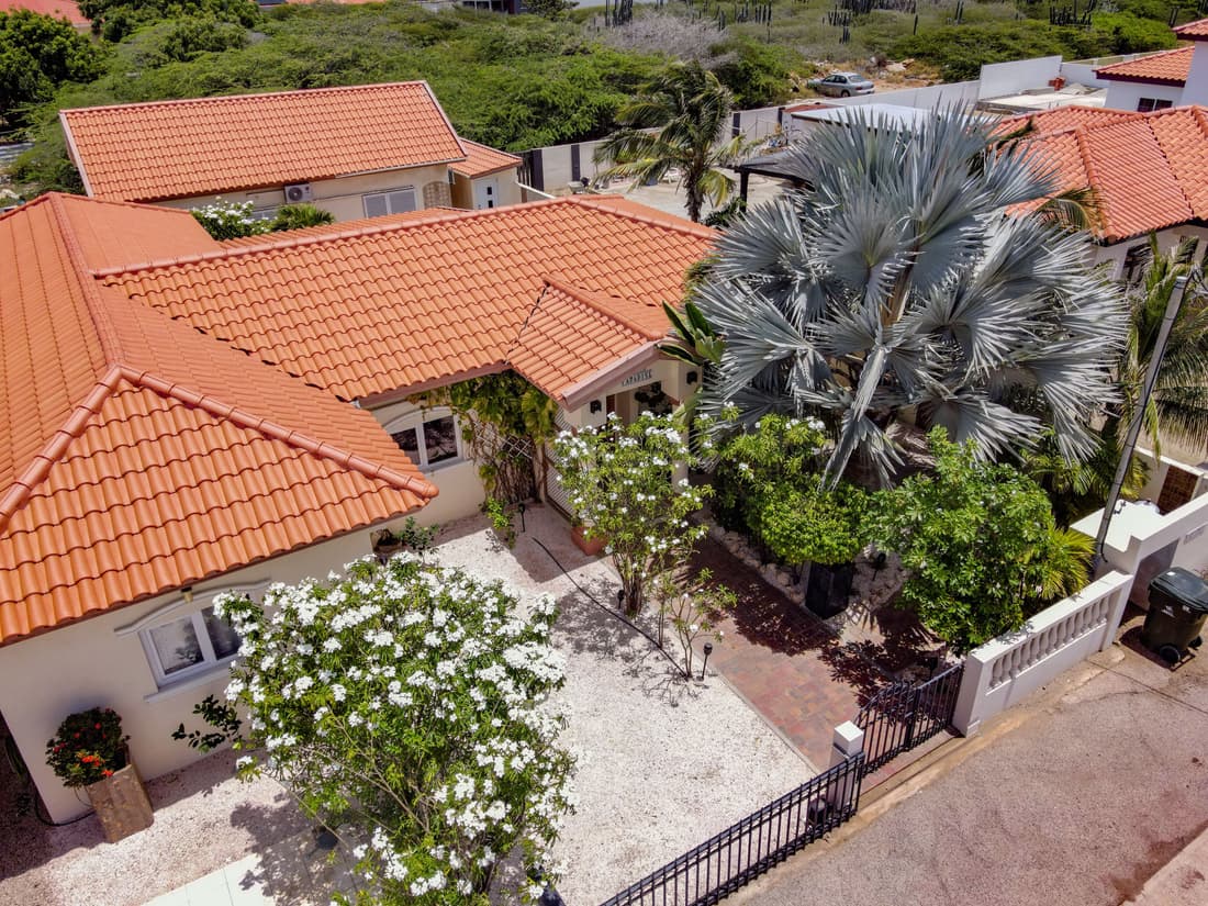 Swiss Paradise Aruba