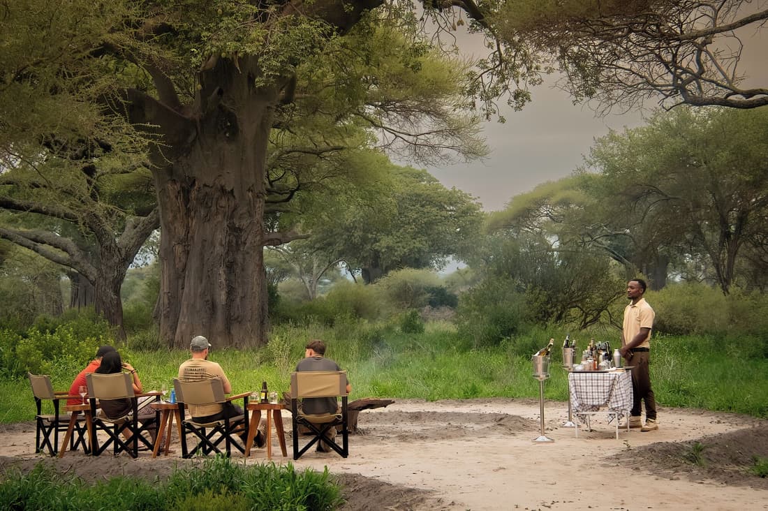 Tarangire Greenland Retreat