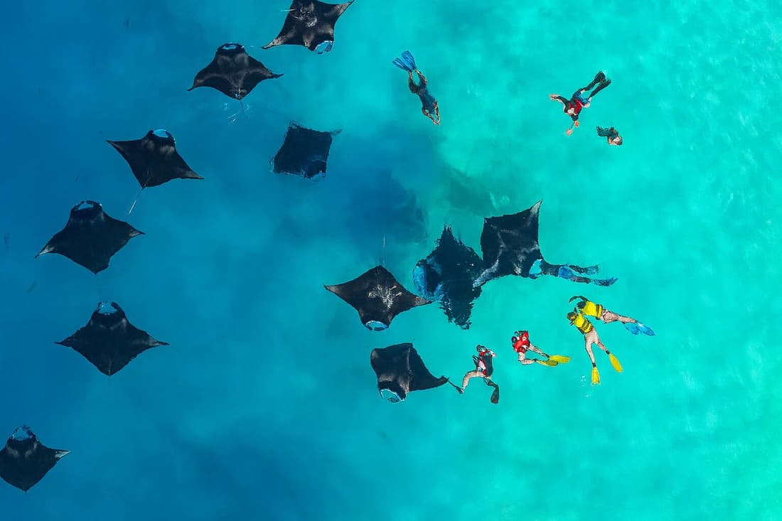 Nest by Hawks Hotels Kamadhoo Baa Atoll