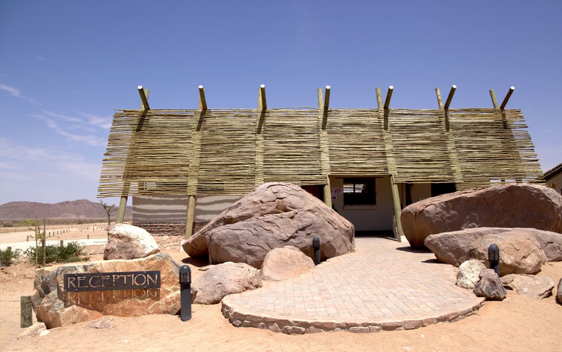 Desert Quiver Camp