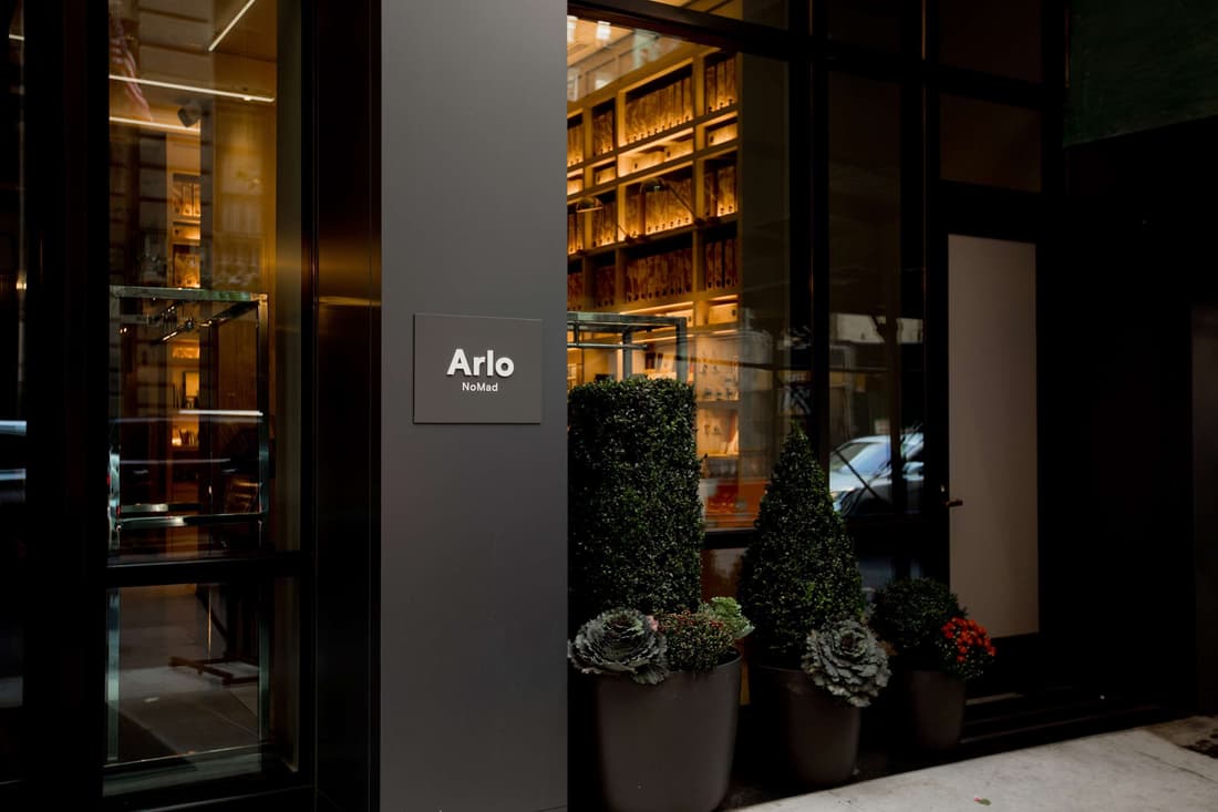 Arlo NoMad
