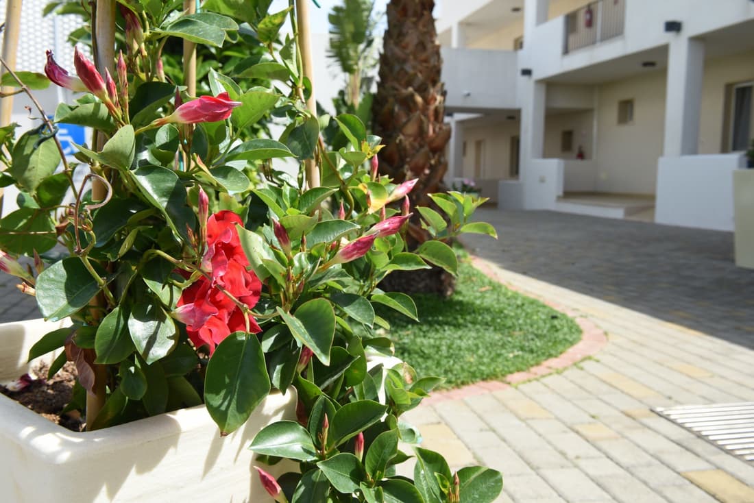Donnosanto Hotel