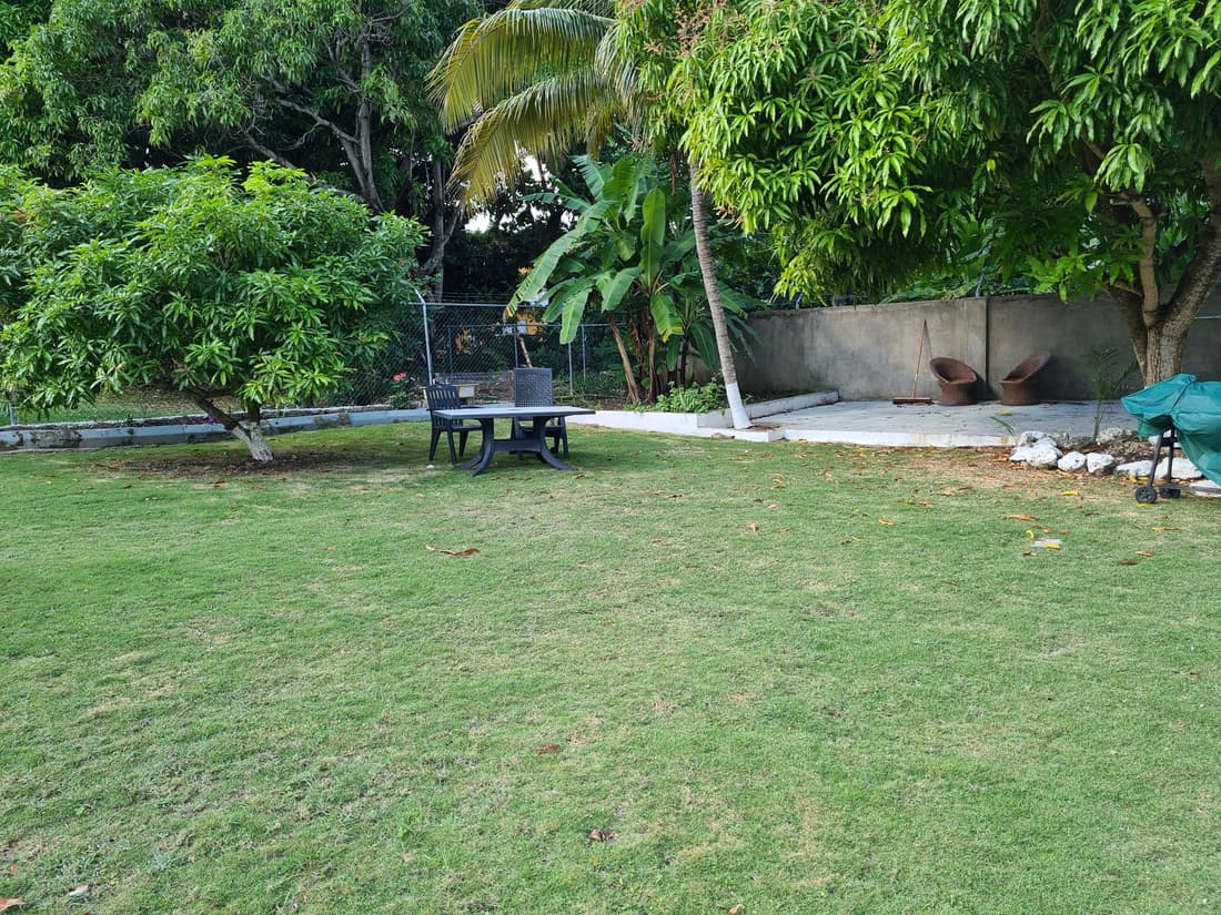 La Rose Apartment Jamaica