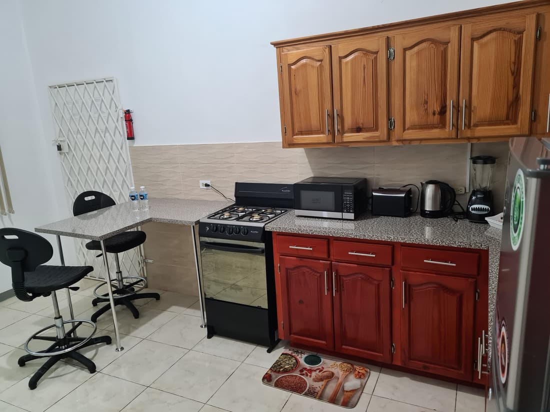 La Rose Apartment Jamaica