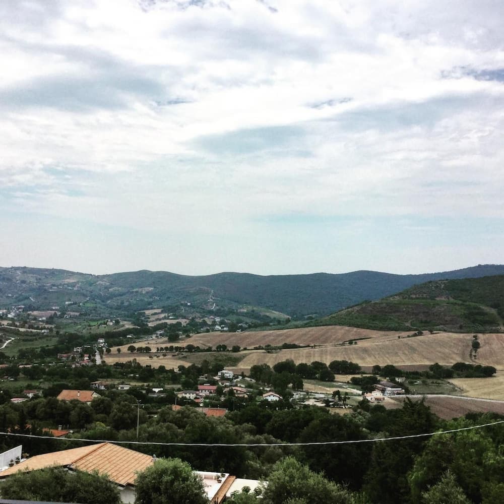 B&B Belvedere