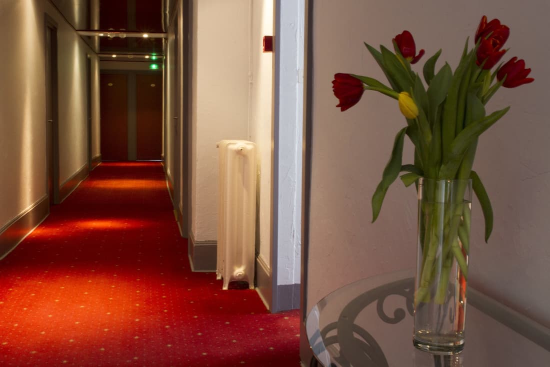 Brit Hotel Roanne - Le Grand Hotel