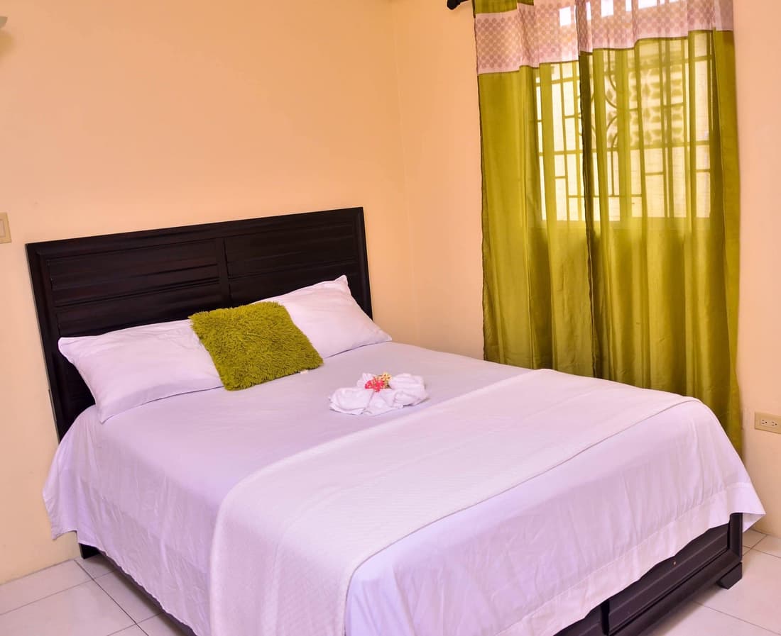 Kingston Sunset Guest Apartment I