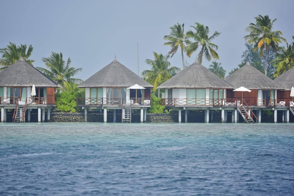 Safari Island Resort