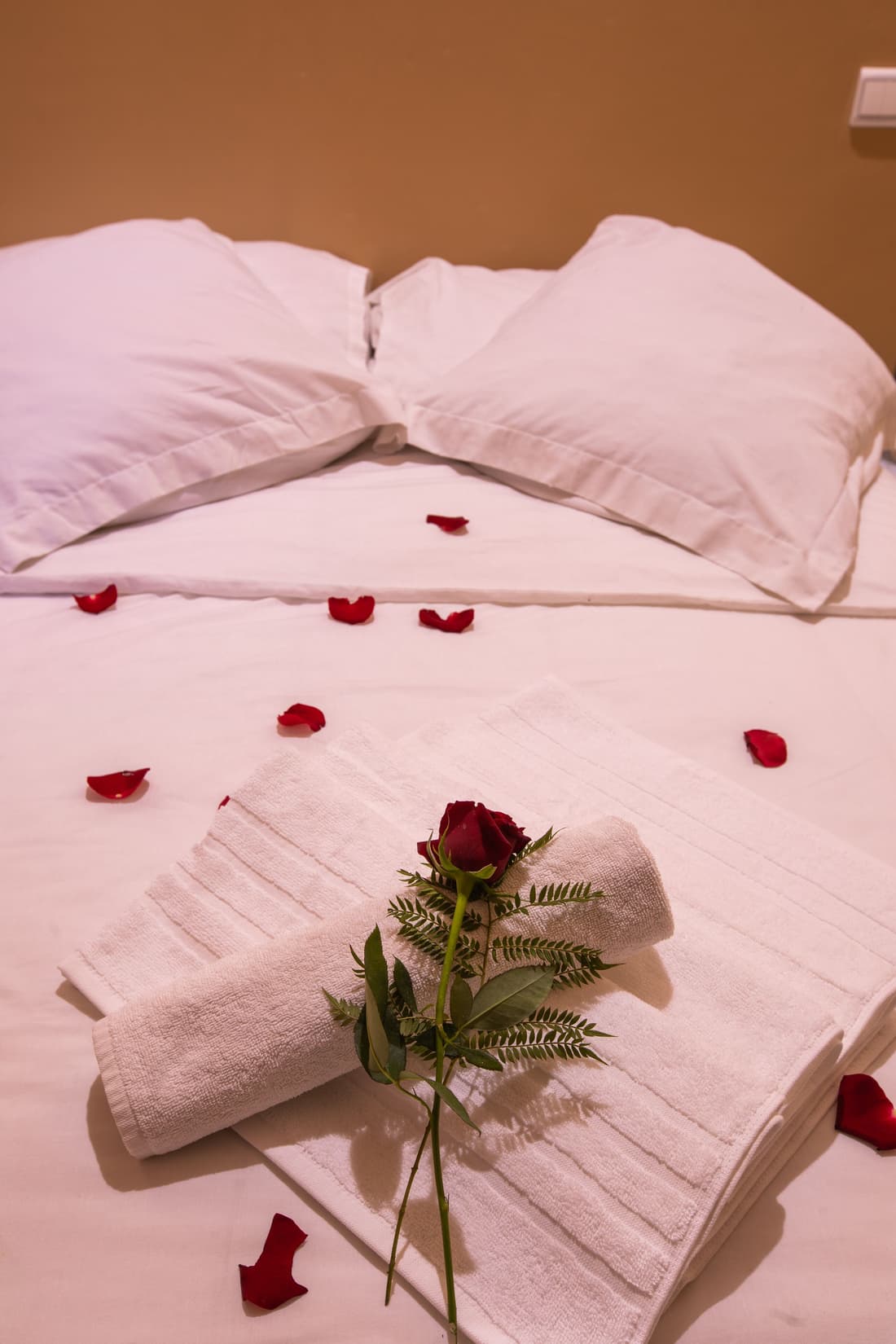 Hotel Toulousain