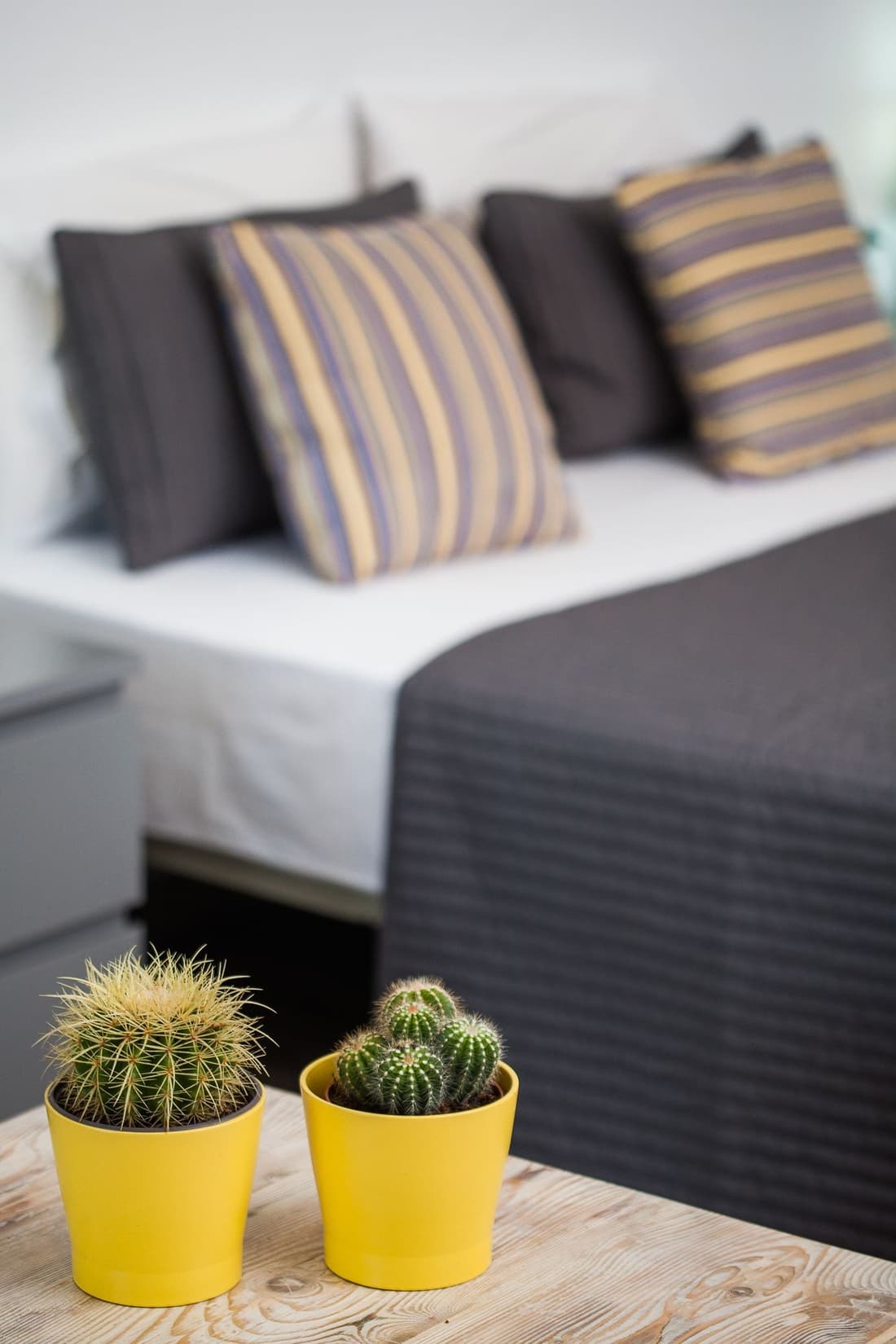 Olive Mykonos Villas