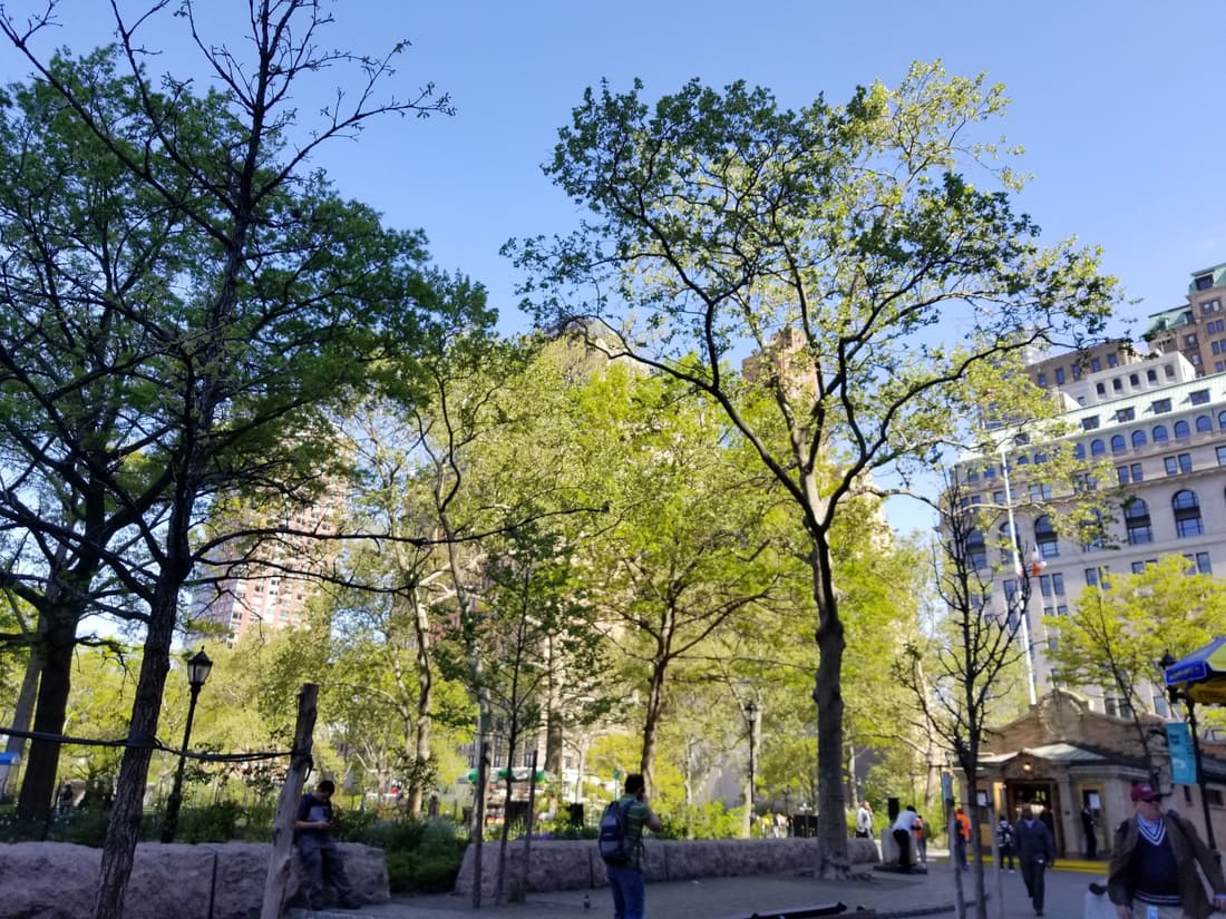 Hilton Garden Inn NYC Financial Center/Manhattan Downtown