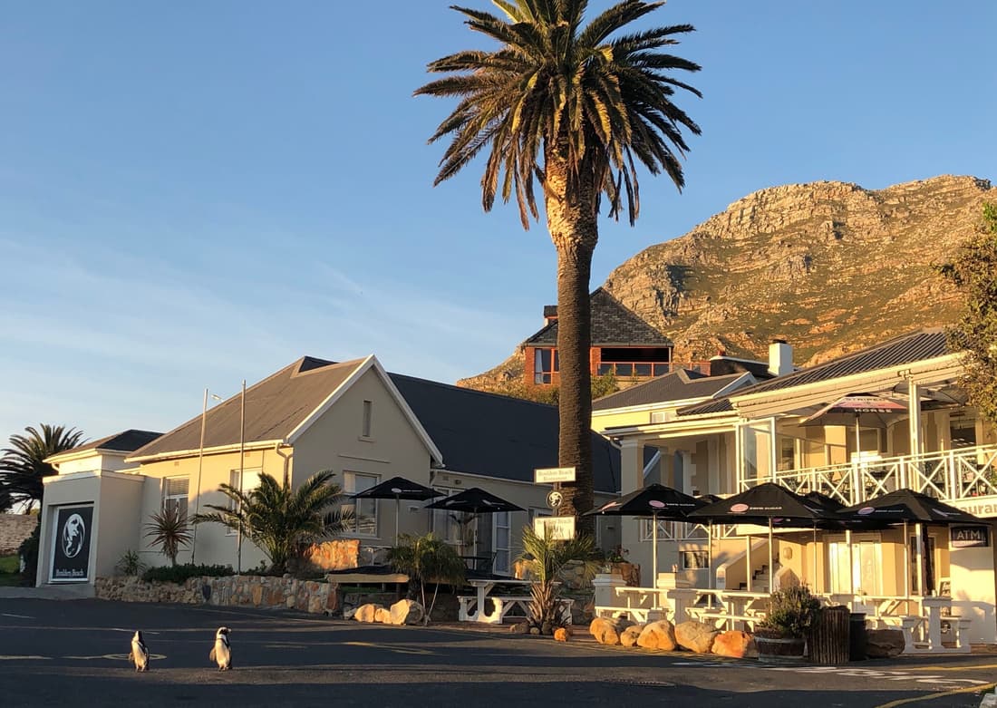 Boulders Beach Hotel, Cafe and Curio