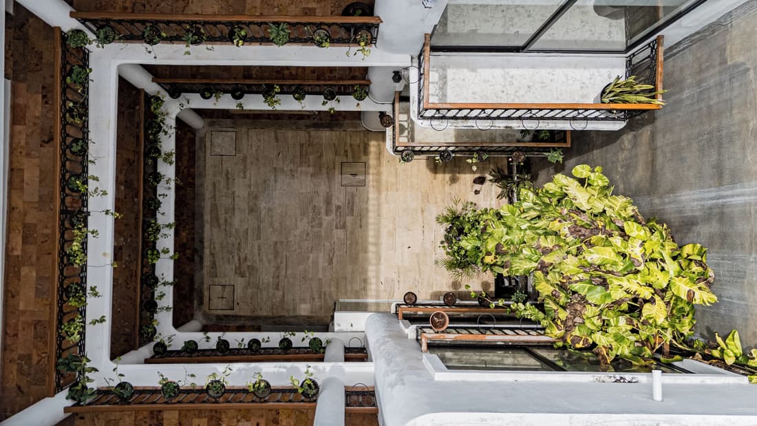 Hotel Banana Boutique & Spa by Paradise Hotels - 5th Av Playa del Carmen
