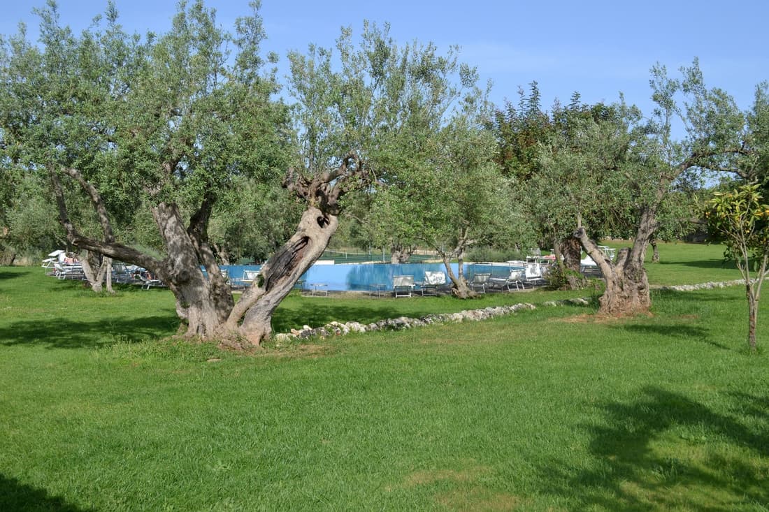 Hotel Masseria degli Ulivi