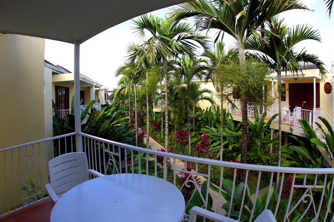 Negril Palms