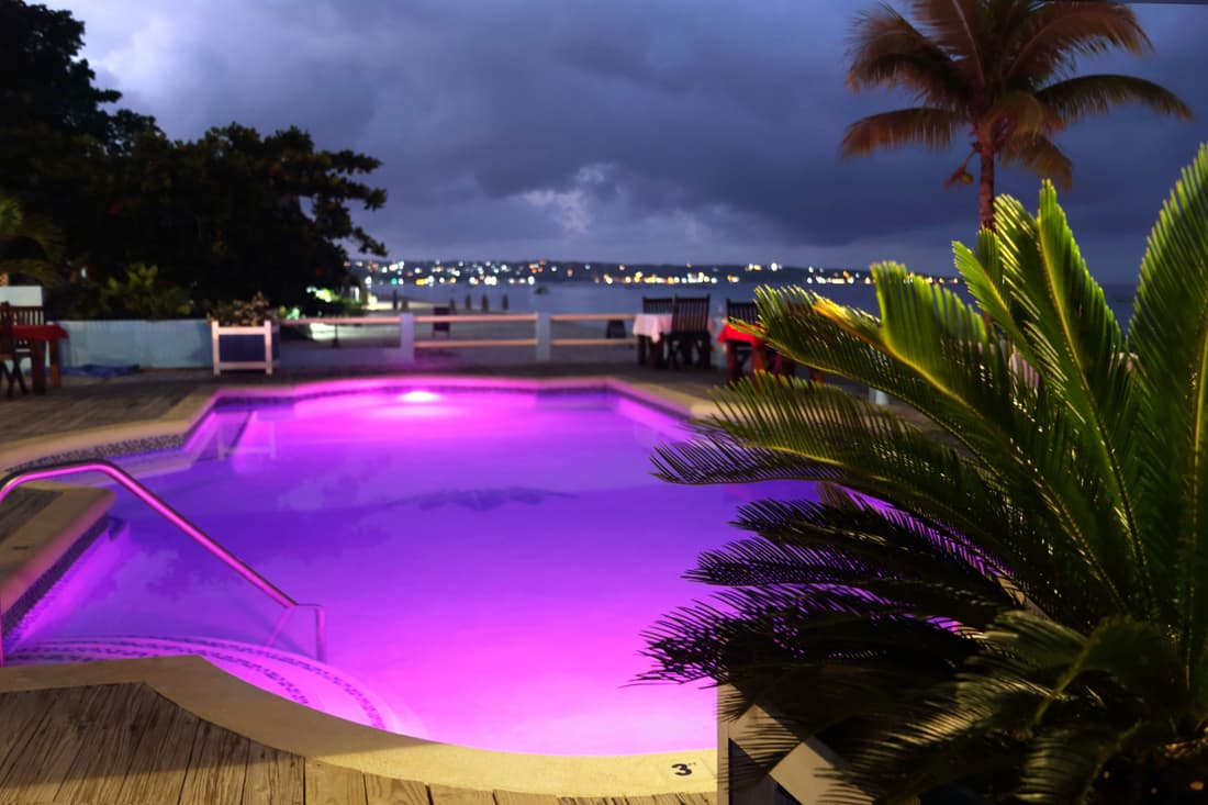 Negril Palms