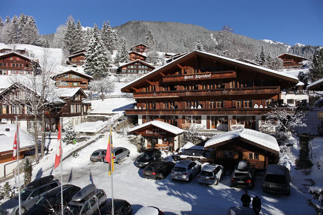 Hotel Alpenhof