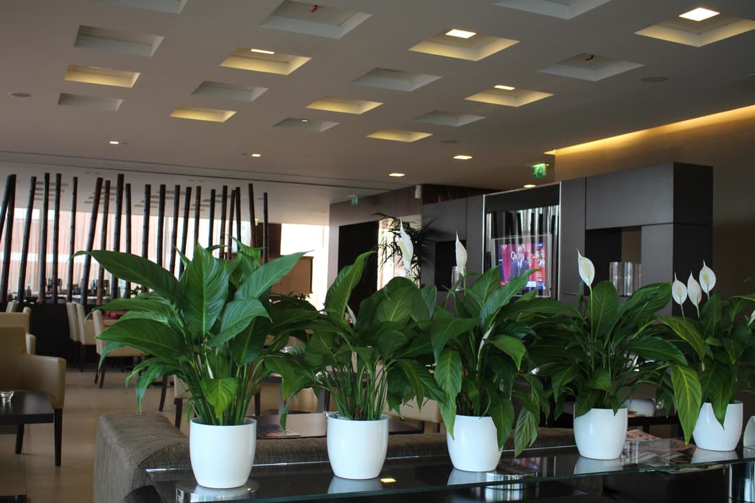 Best Western Hotel Goldenmile Milan
