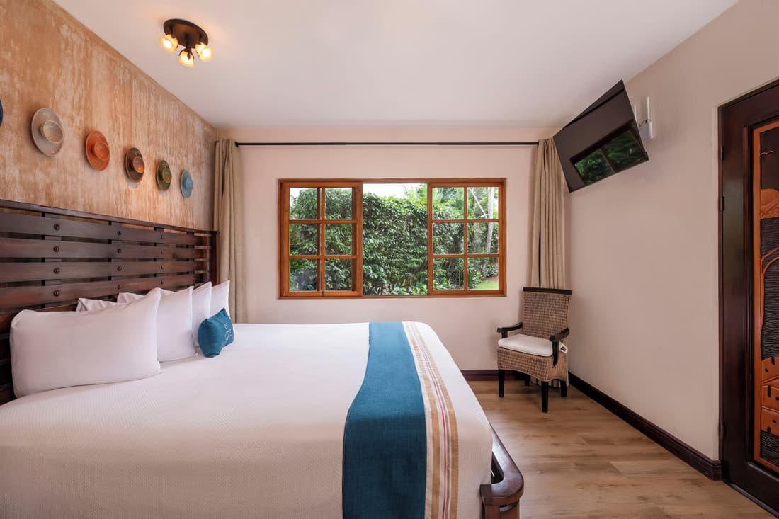 Buena Vista Chic Hotel