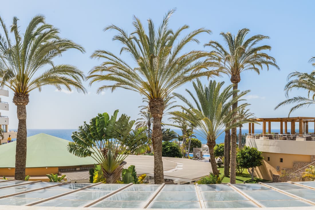 Iberostar Waves Playa Gaviotas -All Inclusive