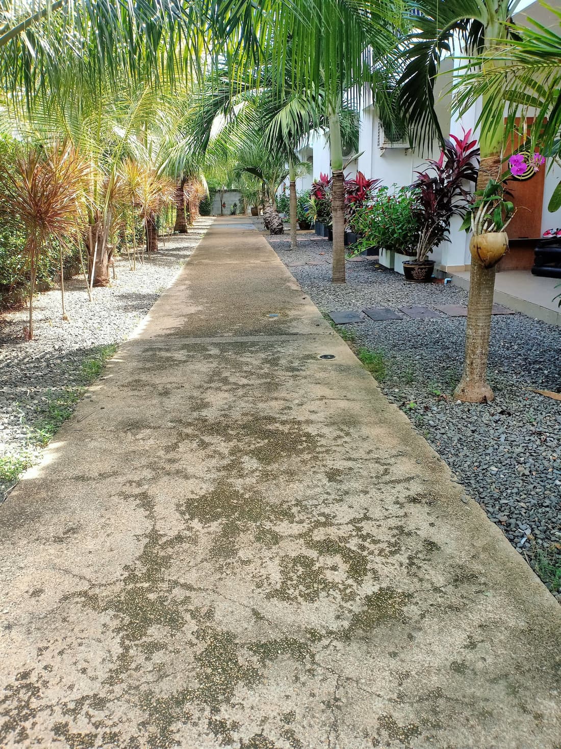 Coconoi Residence