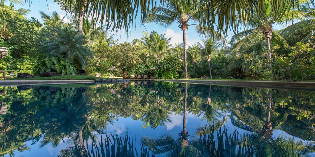 Toca da Coruja - Eco Luxury Retreat