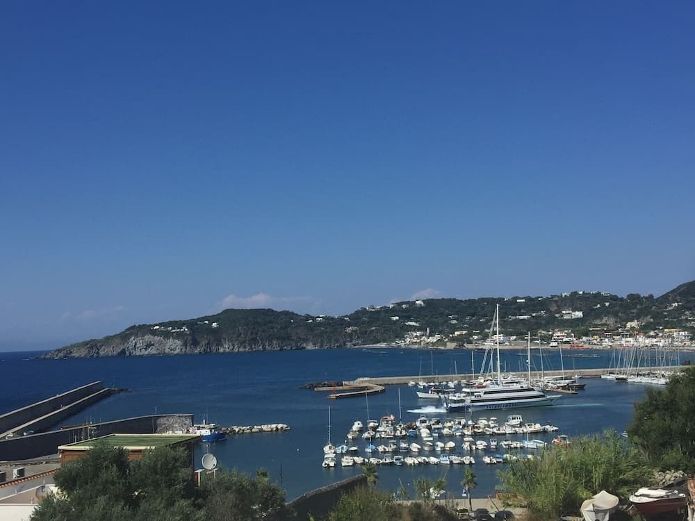 Harbour View