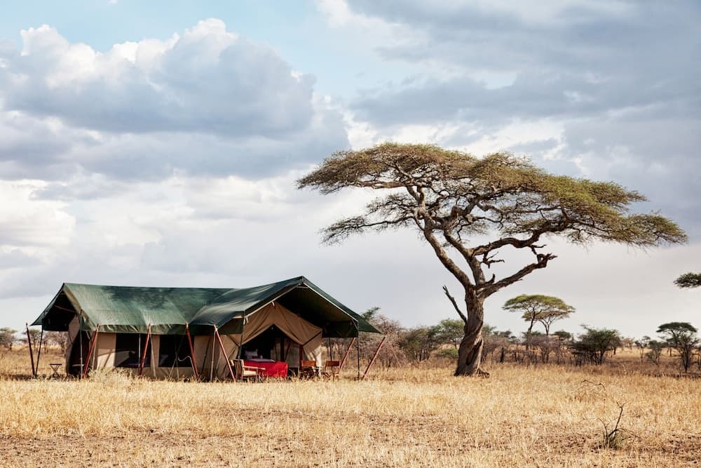 Pumzika Classic Safari Camp
