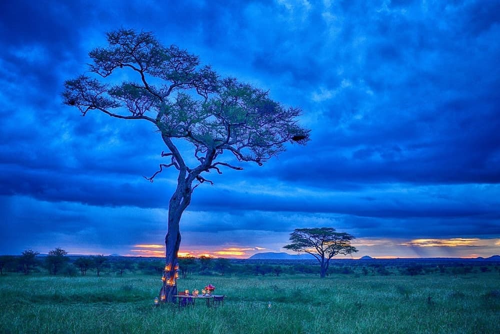Pumzika Classic Safari Camp