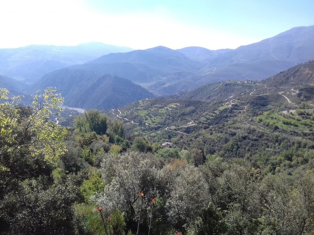 Dreams Alpujarra