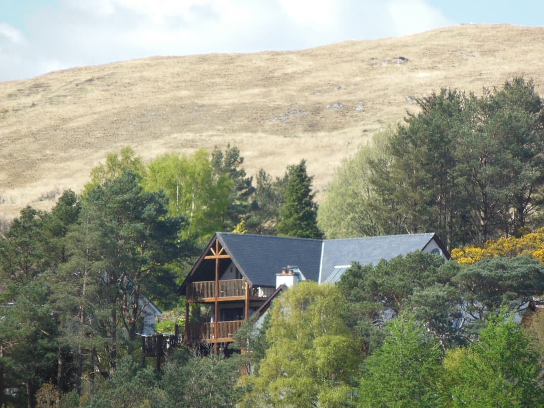 Treetops B&B