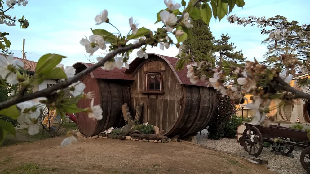 B&B Pervinca