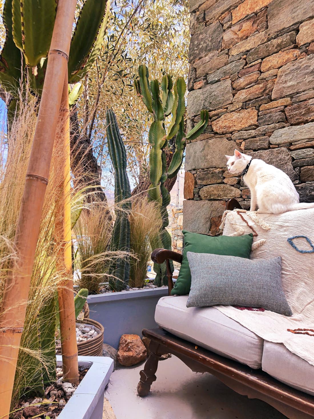 Pino di Loto Bed & Breakfast