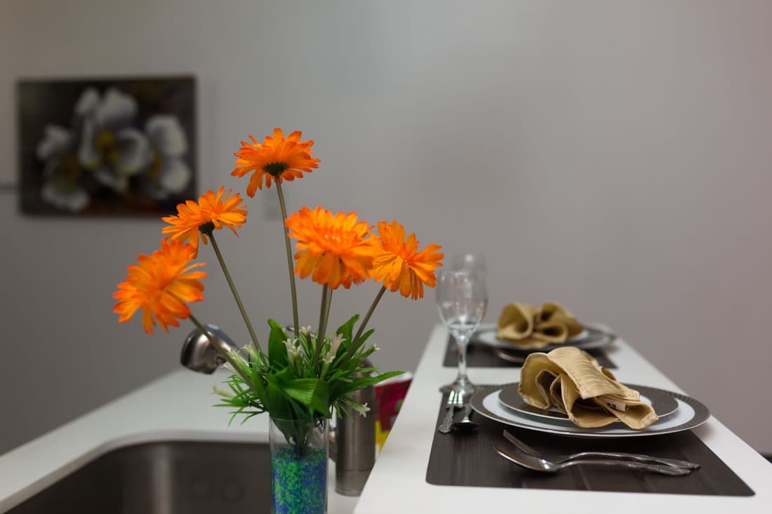 New Kingston Premium Guest Apartment