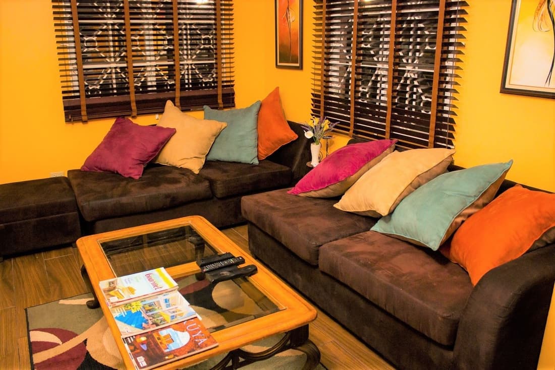 New Kingston Guest Apt at The Stadium