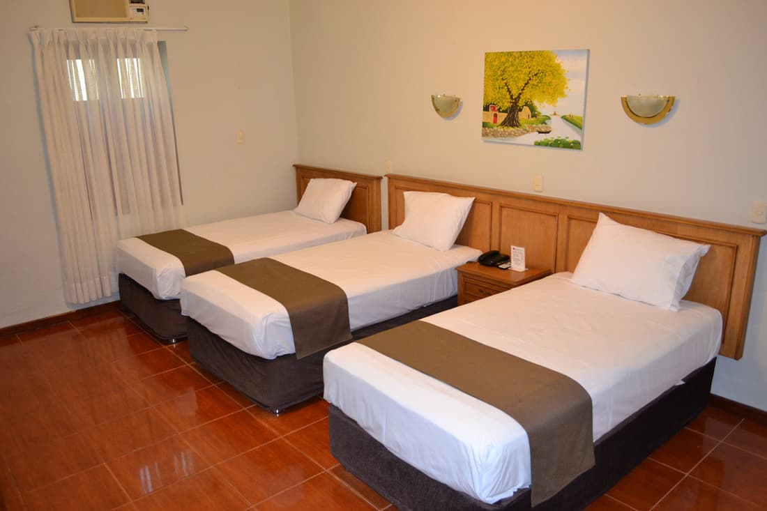DM Hoteles Mossone Ica