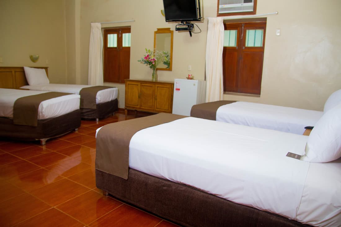DM Hoteles Mossone Ica