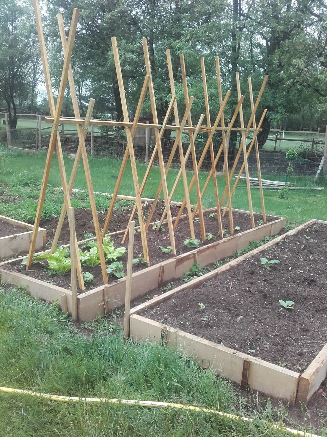Eco Urbión