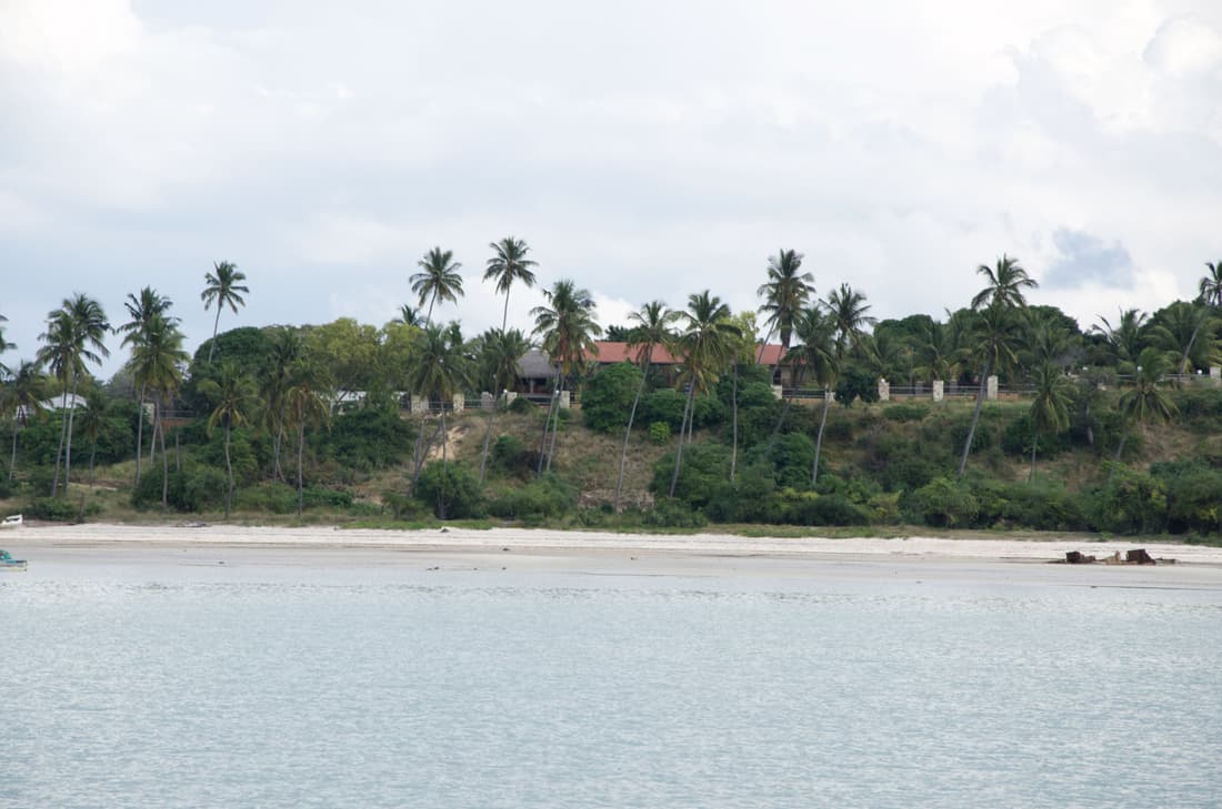Aguia Negra