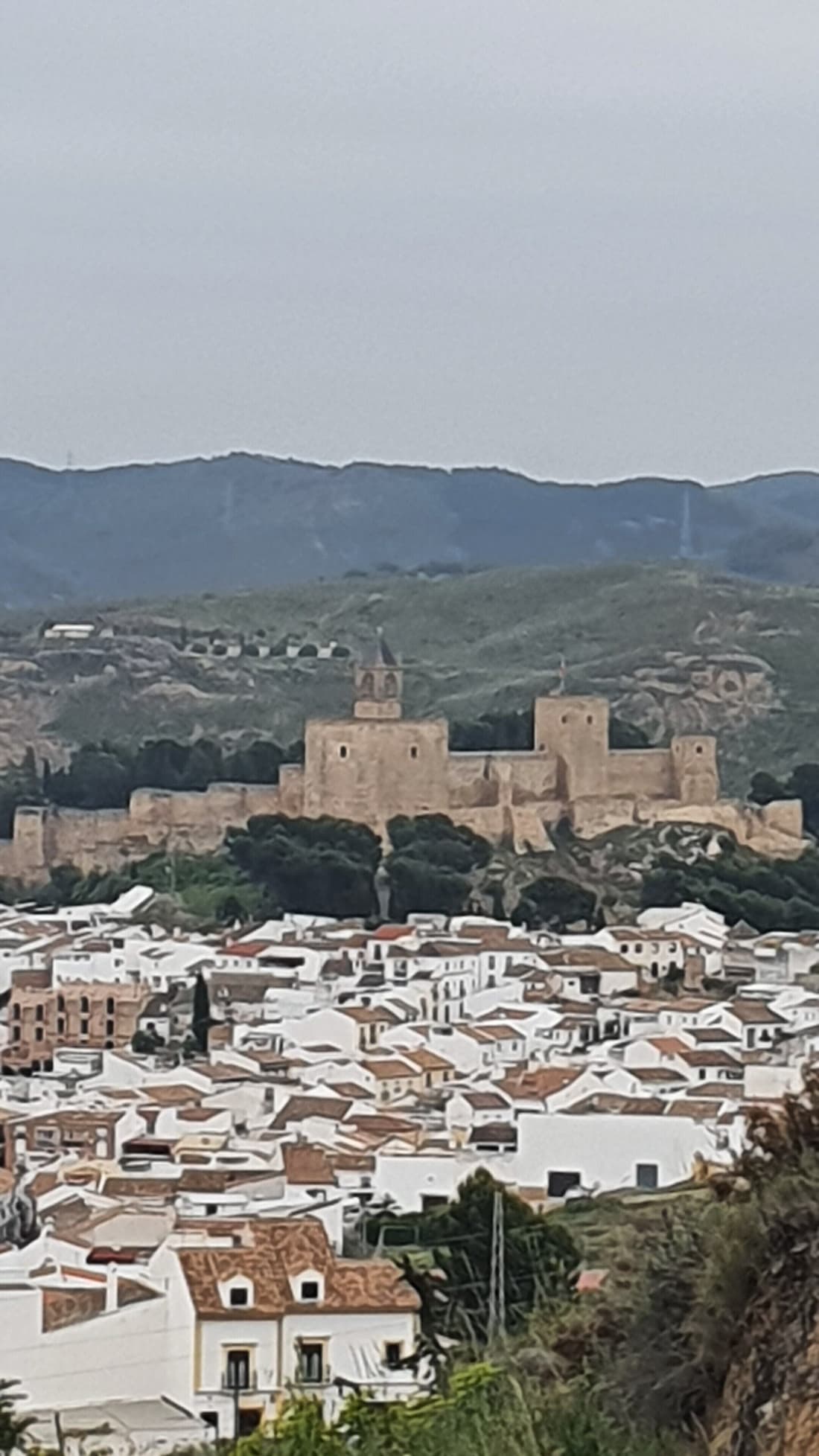 Hotel Coso Viejo
