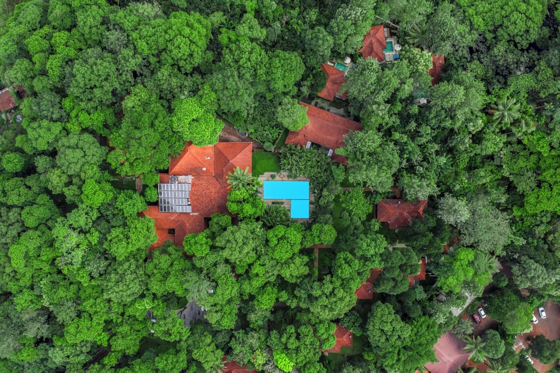 Greenwoods Thekkady - A Five Star Classified Resort