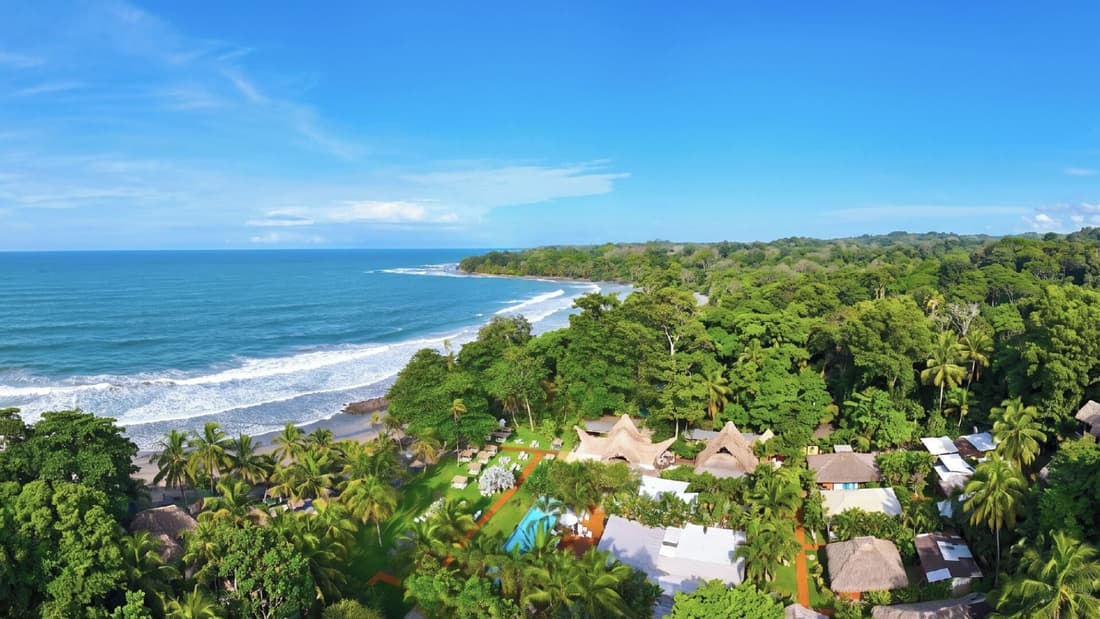 Le Cameleon Puerto Viejo