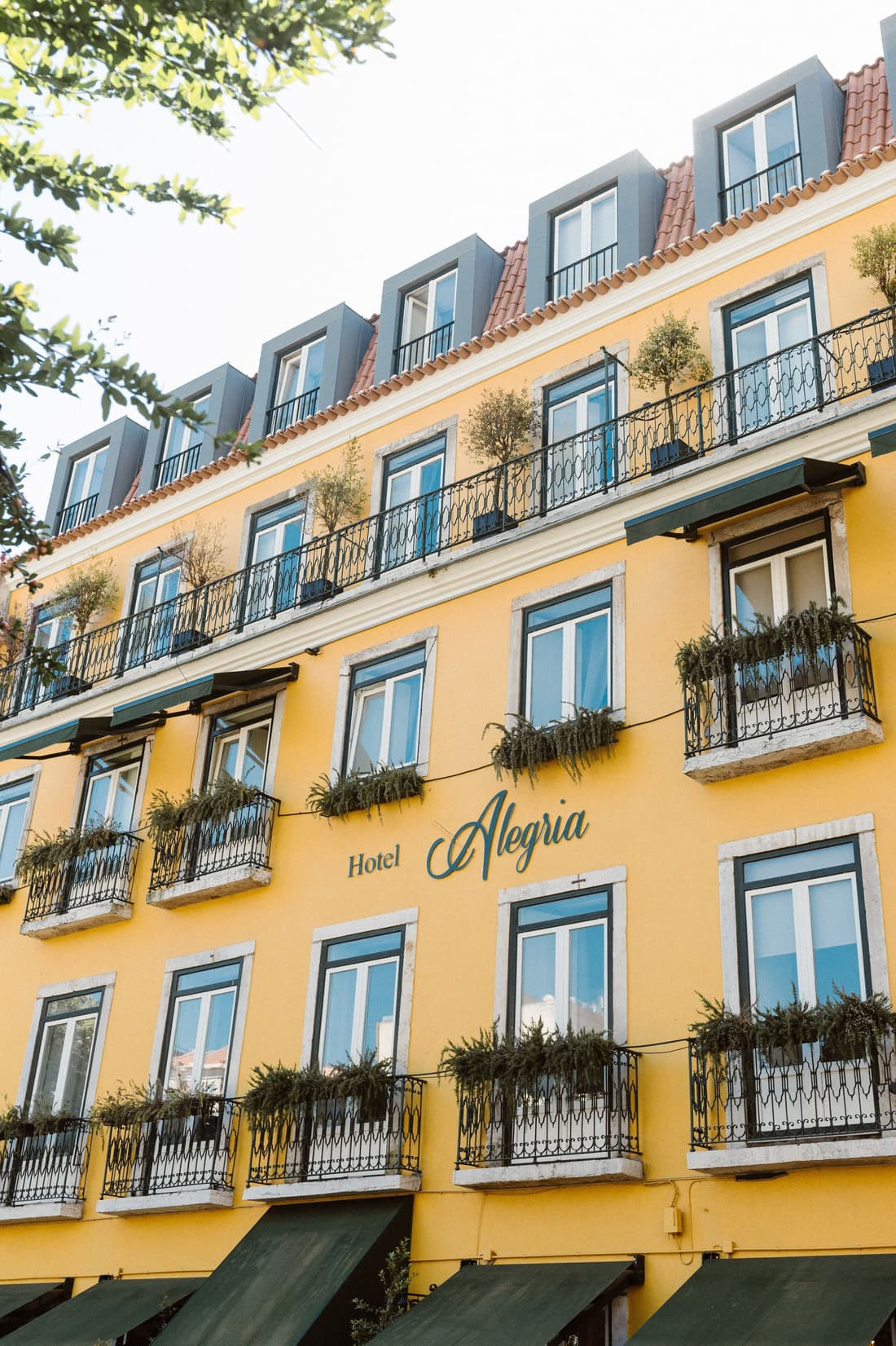 Hotel Alegria
