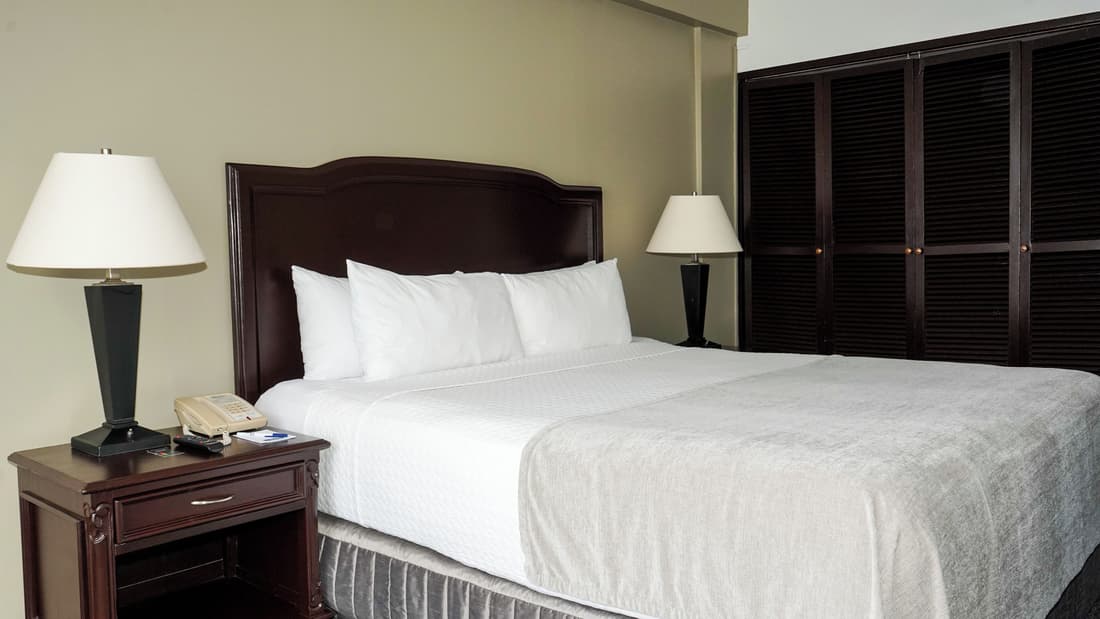 Plaza Hotel and Suites