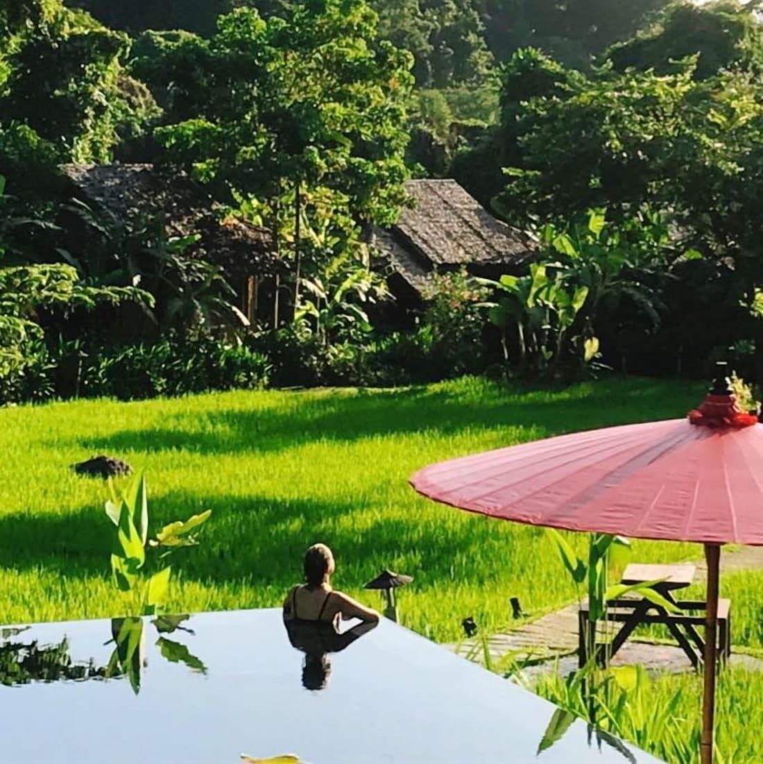 Fern Resort